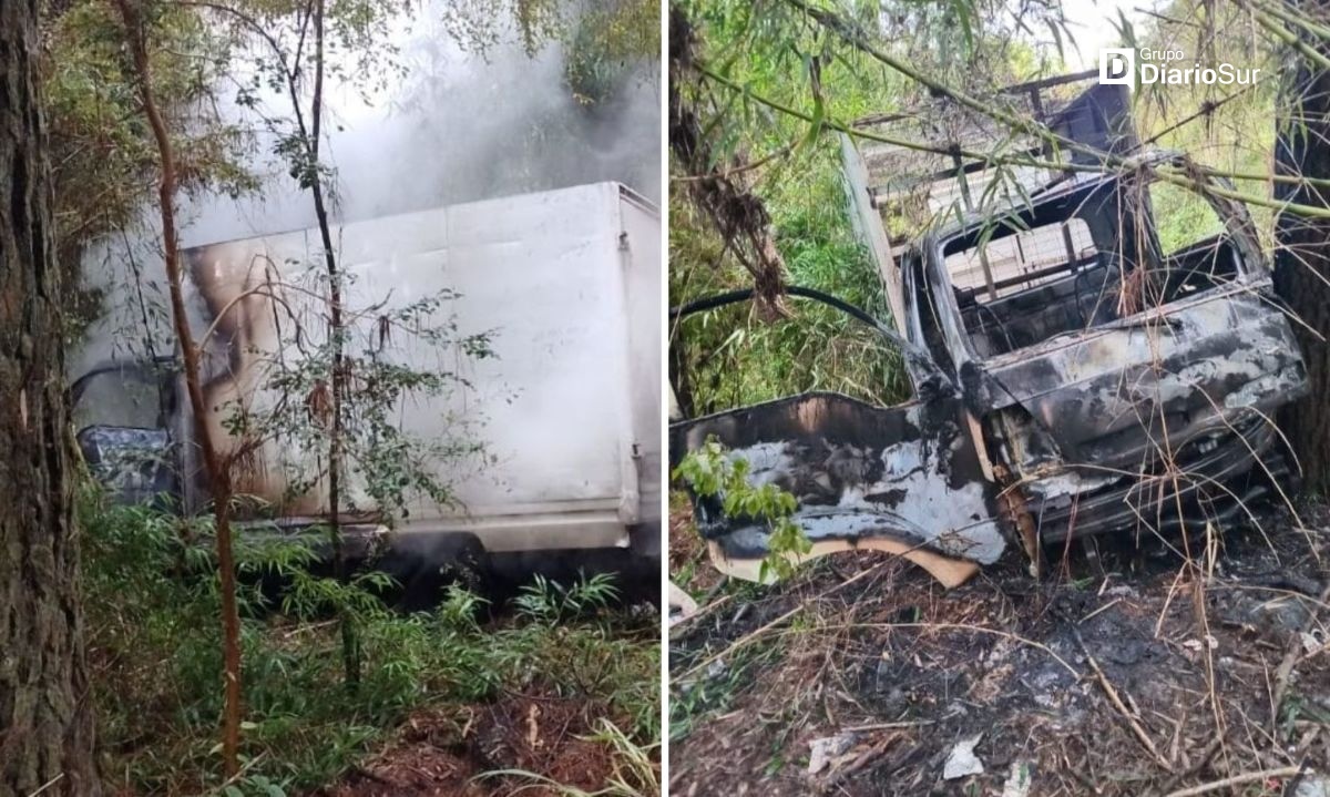 Camión robado en Coñaripe aparece incendiado en Los Lagos