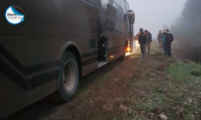 Bus y camioneta colisionaron en ruta Valdivia-Mariquina