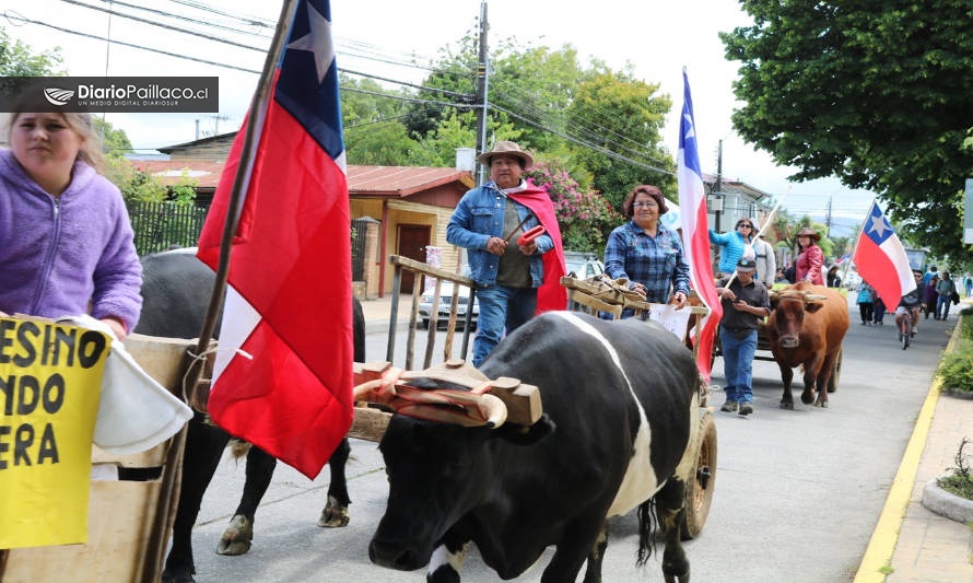 ¡Na´ecosas! Campesinos de Paillaco protestaron con caballos, carretas de bueyes y un tractor