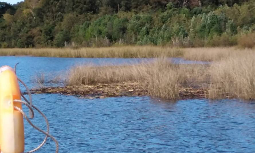 Medioambiente: Consejo del Santuario de la Naturaleza Río Cruces realizó su primera reunión