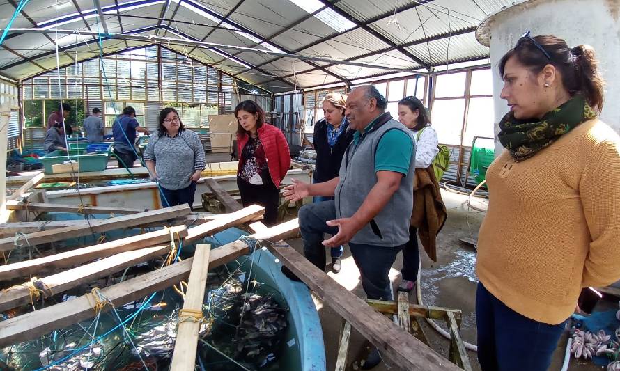 INCAR y Grupo de Transferencia Acuícola realizarán encuentro nacional para profesores de acuicultura