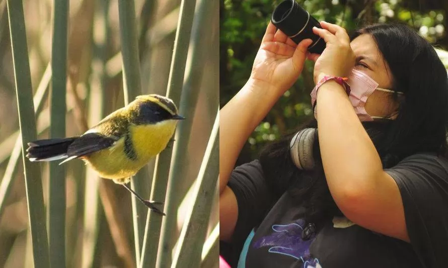 Panorama de invierno: invitan a niños a aprender sobre aves en plena selva valdiviana