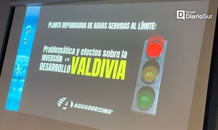 Cinco años de espera por una aprobación ambiental podrían frenar Valdivia