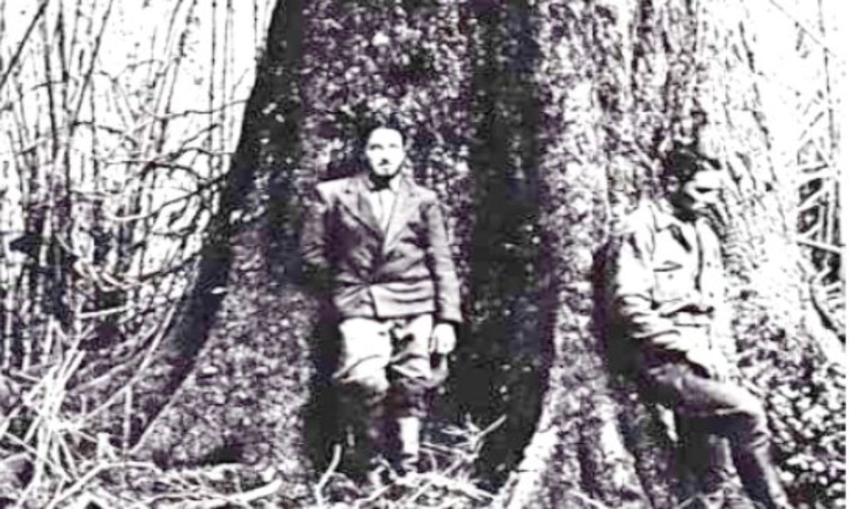 Los cuatro germanos checos que 
fundaron Puyuhuapi (Parte II)