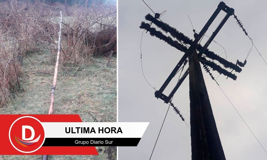 Robo de 2 kilómetros de cable dejó sin luz a familias rurales de Máfil