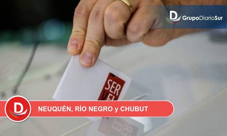Voto en el exterior: Radiografía del electorado chileno en el sur de Argentina 